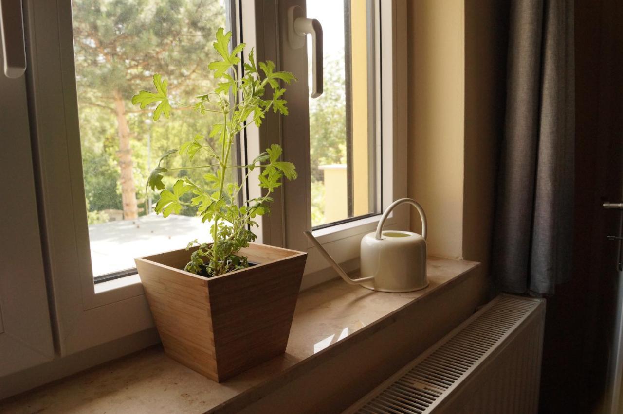 Apartment Sonnenschein Ваймар Екстериор снимка