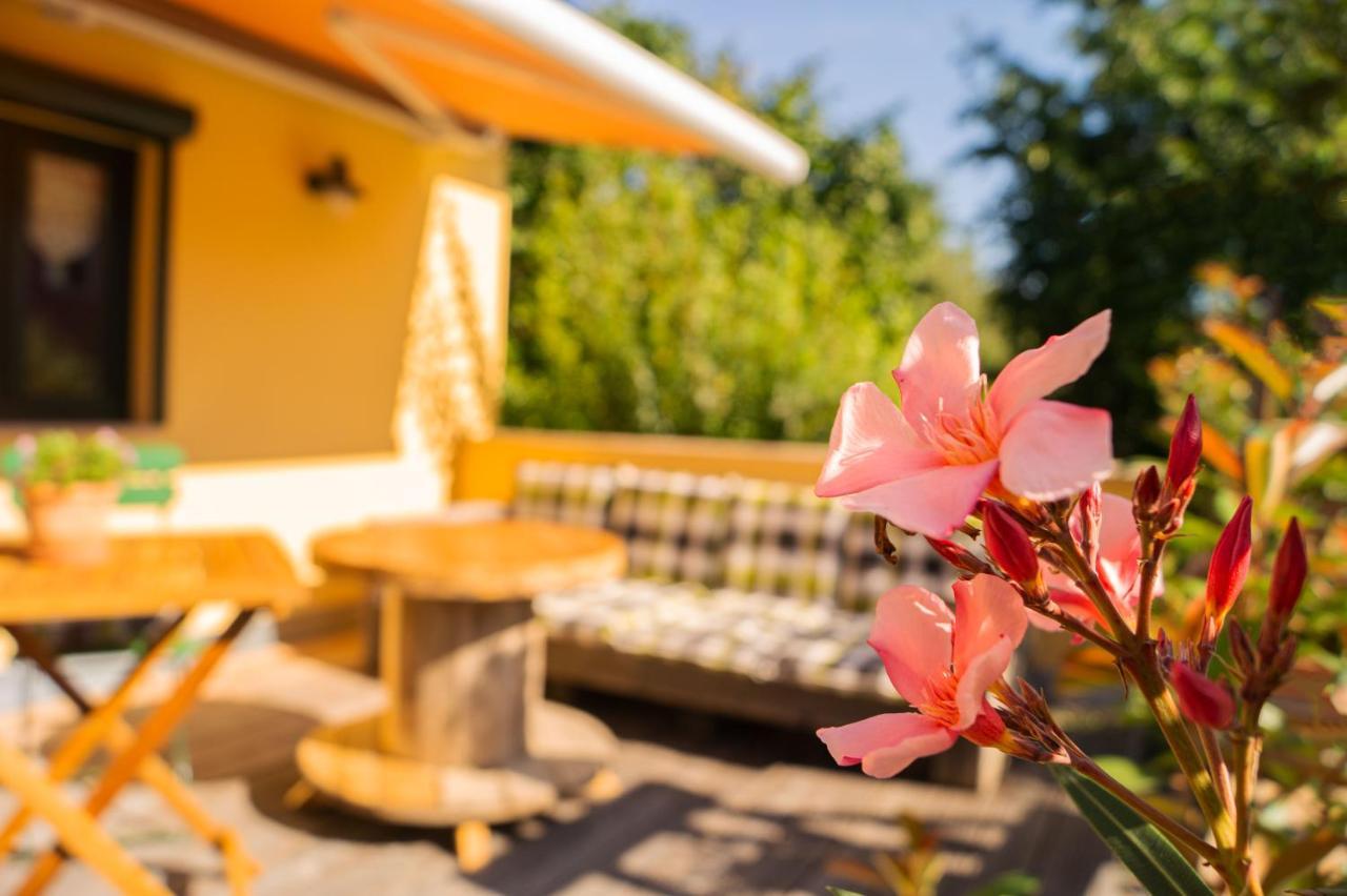 Apartment Sonnenschein Ваймар Екстериор снимка